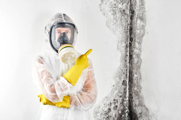 Best Comprehensive Air Testing for Mold Contaminants  in Lakeview, CA